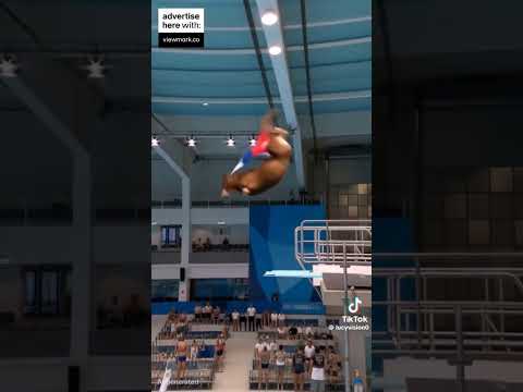 Animals Swimming #2025 #funny #cat #sgstudio