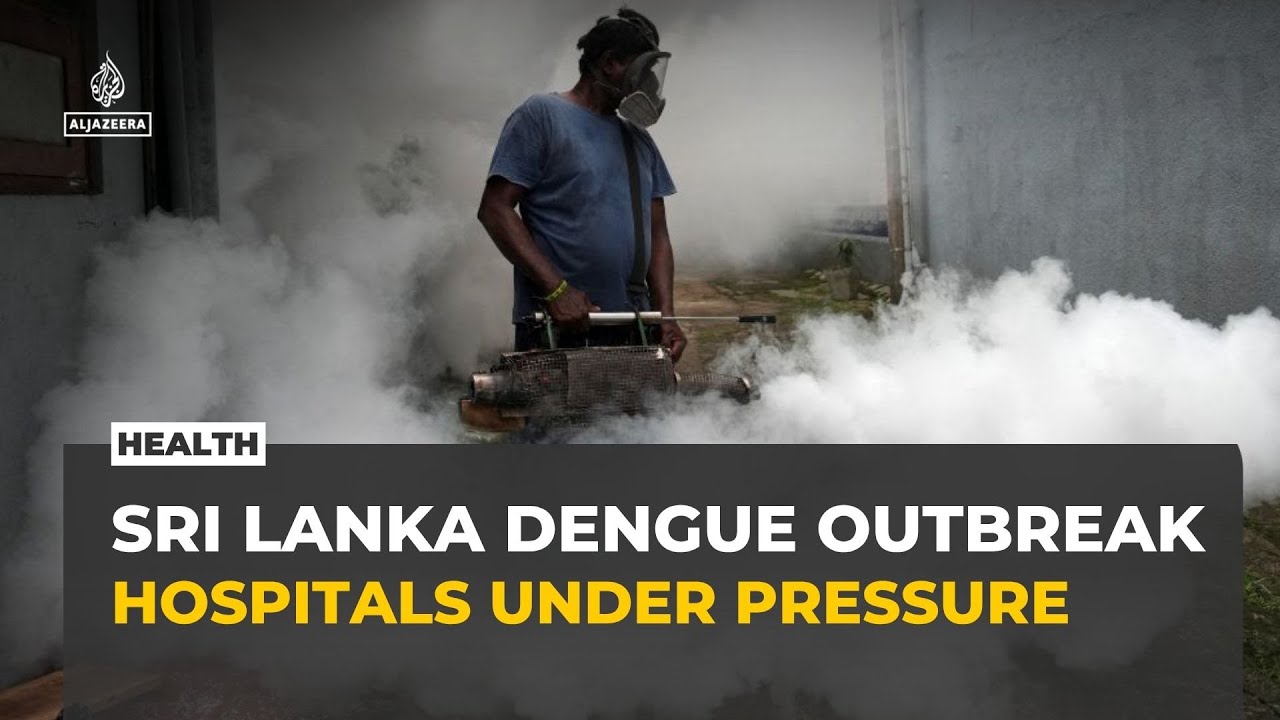 Sri Lanka's dengue outbreak strains hospitals as cases double from last year