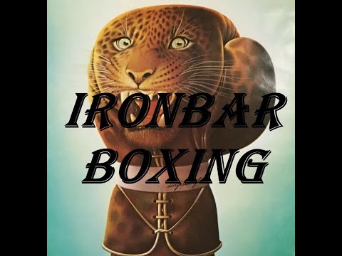 Roman Gonzalez vs.Yutaka NiidaWBA MiniWC.2008.09.15