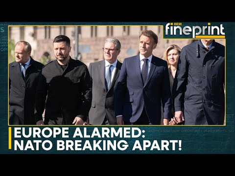 What Will NATO Do if Trump Decides to Attack Its Member State Denmark's Greenland? | WION Fineprint