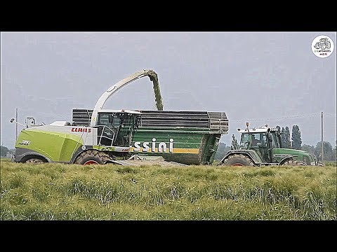 Claas Jaguar 980 Type 497 + DOMAI MPD 612 - Eredi Ogliari - Barley silage 2019
