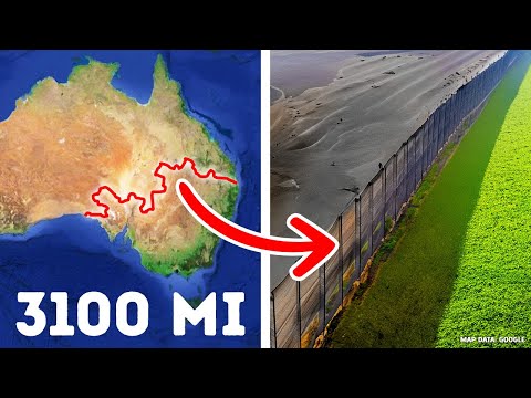 Why Australia Built a Fence Across the Entire Continent