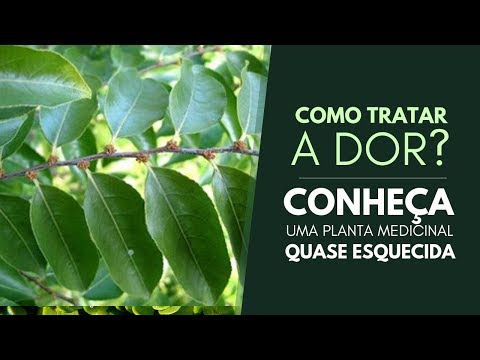 , title : 'COMO TRATAR DOR? Uma planta medicinal quase esquecida'