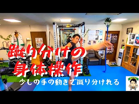 蹴りの軌道を変える　質を変える　蹴り分けの身体操作