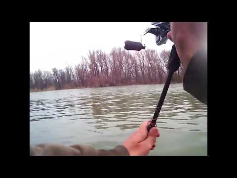 The Chosen One / Small Winter Asp