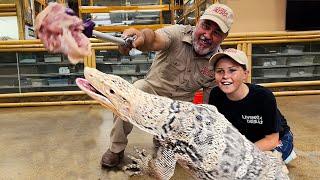Teaching Brooke about GIANT Monitor Lizards🤩🙌 by Prehistoric Pets TV