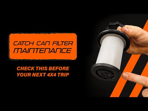 Got a ProVent Catch Can? Don’t Forget This Maintenance Tip