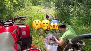 Another day done , in reverse!