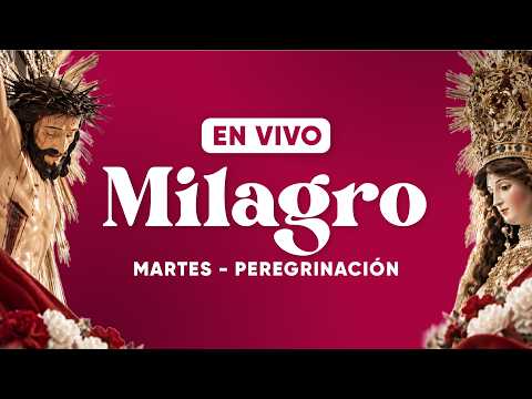 ¡EN VIVO! La Gran Procesión del Milagro 2026 del Señor y Virgen del Milagro ⛪🙏 | #QUEPASASALTA