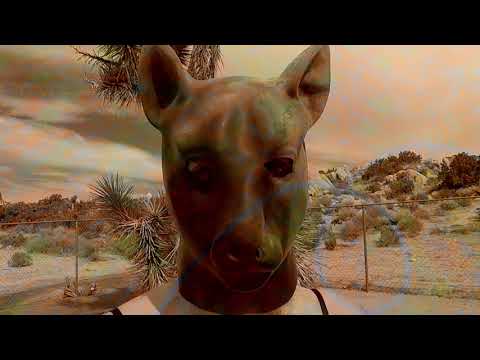 𝗪𝗲 𝗔𝗿𝗲 𝗣𝗜𝗚𝗦 - Duality [Official Video]