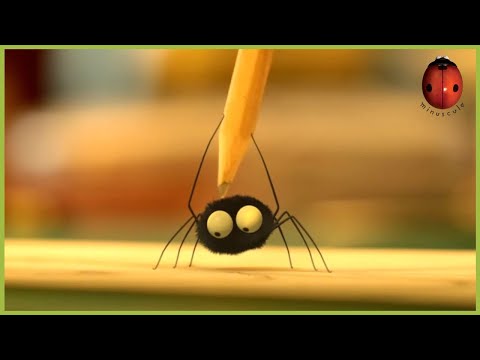 The Artist | Minuscule