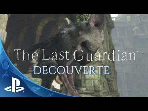 Découverte estivale #19 The last Guardian