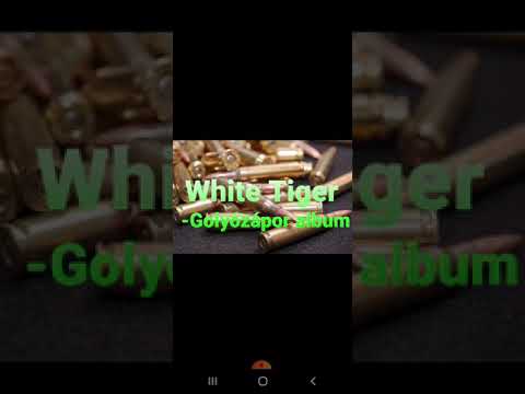 White Tiger-Az élet Rendje(2021)