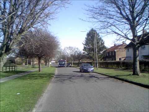 YJ07PDK (Transdev York) - Chicken