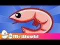Shrimp Glockenspiel : animated music video ...