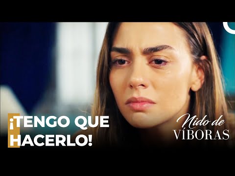 ¡Nagme Acepta A Elvan Como Una Co-Esposa!  - Nido De Víboras
