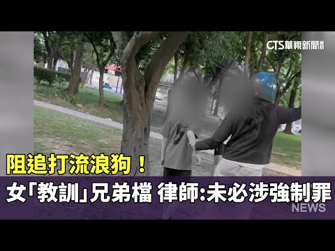 阻追打流浪狗！　女「教訓」兄弟檔　律師：未必涉強制罪