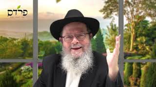 הרב שבתי סלבטיצקי | ל"ג בעומר: הסוד לחיים מאושרים "אהבה עם כבוד"