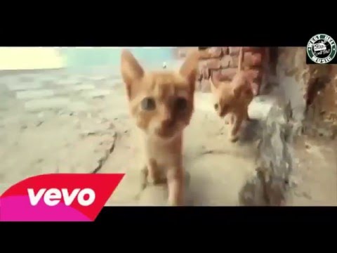 Hamzaoui Med Amine TooNes Feat Wled 9 ولاد   YouTube