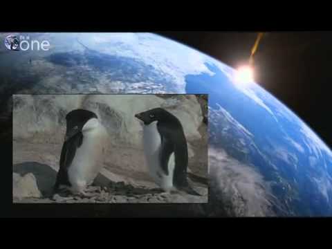 Corderoy   My Sweetest Dreams Feat Sindre Eide   Piovere  W