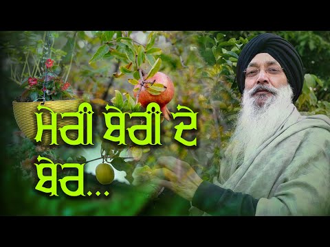 Meri beri de ber | Bhai Harjinder Singh Ji Srinagar Wale #home #garden #fruits #plants #new #vlog