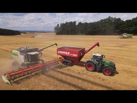 Harvest 2022 🌾 | 5x Claas Lexion in one field (1x780 - 3x770 - 1x 760) | AG Maiwald 🇨🇿
