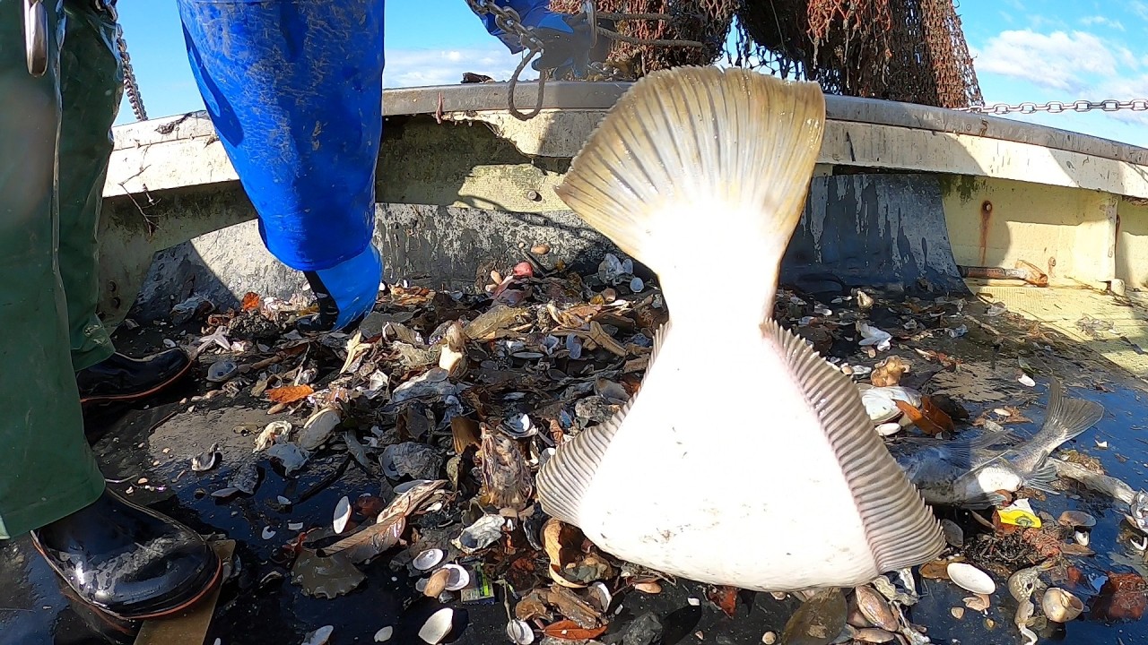 前回の動画から2日後、大潮。