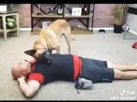 हसु हसु 😂😂पोट दुखेल for only entertainment😜