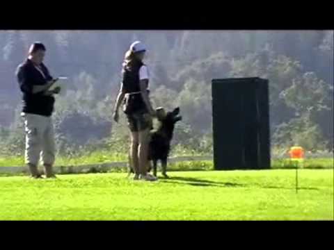 Mia od Natálky  3. místo - B&C - MMČR 2010 Jablonec nad Nisou