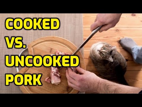 Is Pork Good For Cats?