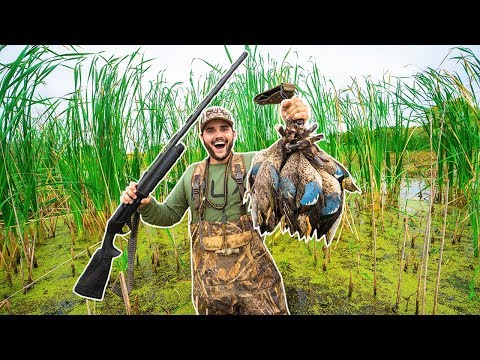 , title : 'PUBLIC Marsh DUCK HUNTING!!! (CATCH CLEAN COOK) - Opening Day 5 Man Limit!'