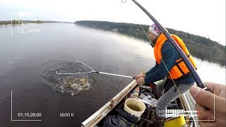 Что такое приманка шартрез