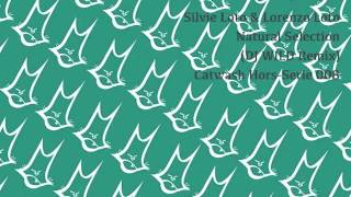 Silvie Loto & Lorenzo Loto - Natural Selection (DJ WiLD Remix) (Catwash Records)