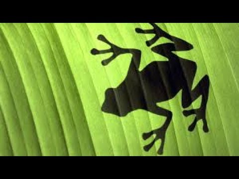 Fake - Frogs In Spain (2017 Ext.-DW Remix-By Marc Eliow) HD