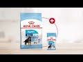 Šunų Maistas - Royal Canin Maxi Puppy 10x140g