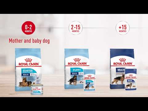 Royal canin dry dog food maxi puppy