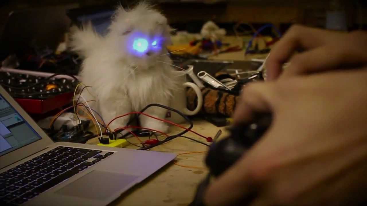 @teabass doing strange things to the BuildCat https://github.com/achingbrain/build-cat #nodebots