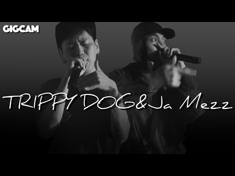 트리피독 (TRIPPY DOG), 자메즈 (Ja Mezz) - DOG (Feat. Money Mezz) (prod by Bangroz) ｜GIGCAM