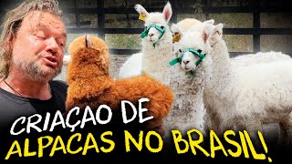 Miniatura do vídeo