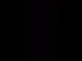 Madagascar Penguin Chat But Black Screen