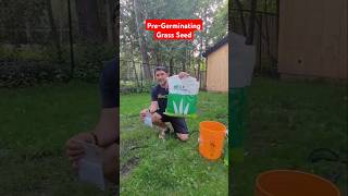 How to Pre-Germinate Grass Seed for better results growing grass #Grass #lawncare #yardwork #DIY