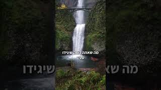 מהיום תהיה החלום של עצמך | הרב דוד פריוף (הרב דוד פריוף) - התמונה מוצגת ישירות מתוך אתר האינטרנט יוטיוב. זכויות היוצרים בתמונה שייכות ליוצרה. קישור קרדיט למקור התוכן נמצא בתוך דף הסרטון