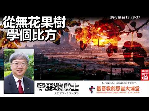 無花果樹 聖經