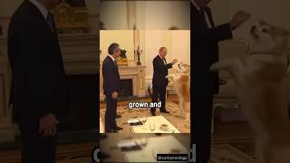 Download lagu Why Putin Rejected a Dog Gift from Japan? #putin #dog #doglover mp3
