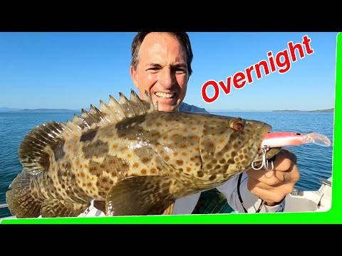 Solo overnight boat camping and night fishing EP.558
