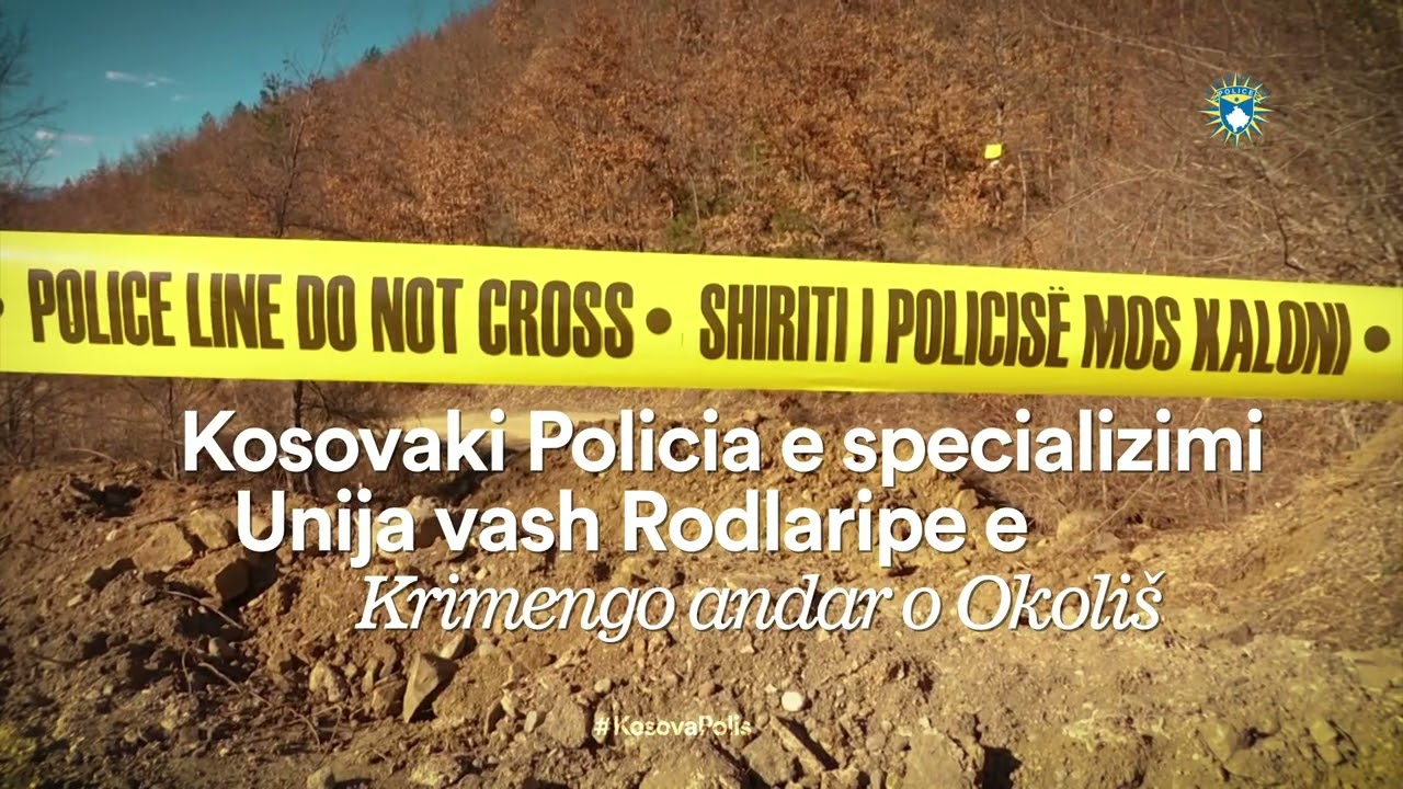 Environmental crime - Romani
