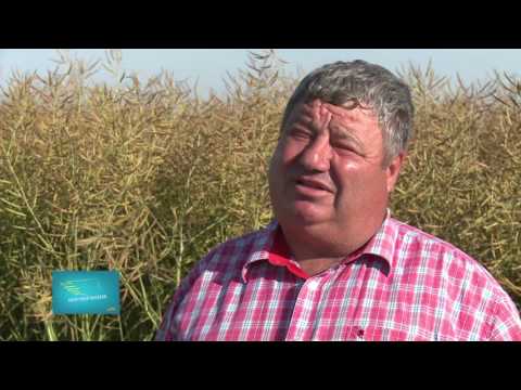 Testimonial rapita DEKALB- Adrian Roșu , Constanta