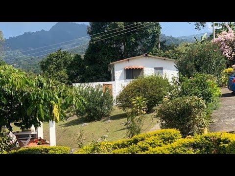 Cheap Farm For Sale USD-30,000