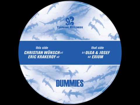 Christian Wünsch - Dummies