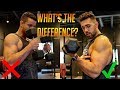 Dumbbell Bicep Curl VS Hammer Curl | Which is Better?